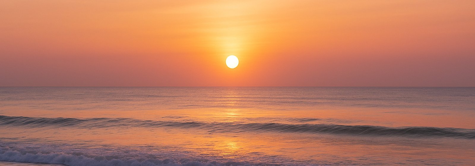 Coaching Sessions - Xclence in Motion