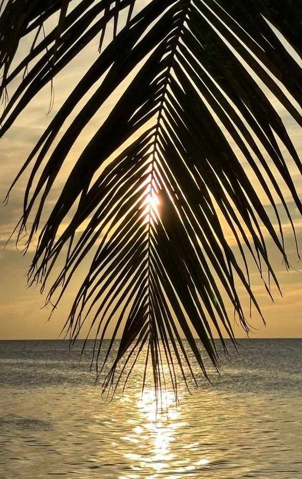 Coaching Sessions - Xclence in Motion