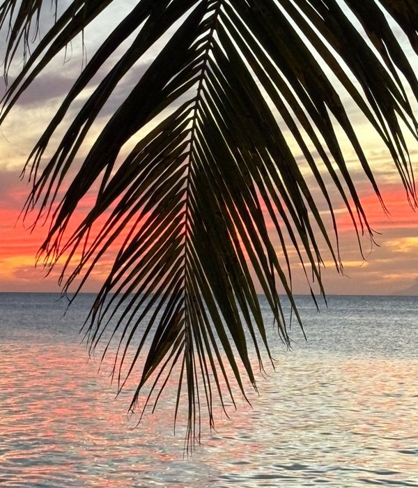 Coaching Sessions - Xclence in Motion