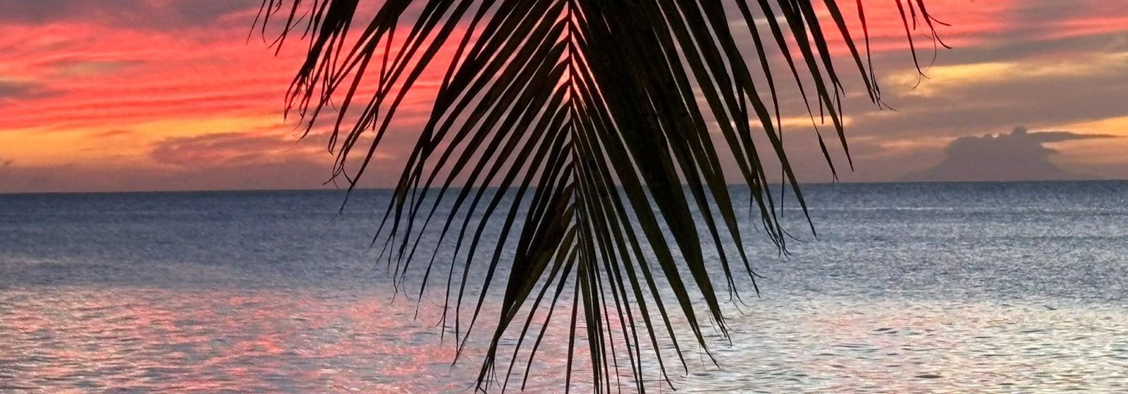 Coaching Sessions - Xclence in Motion